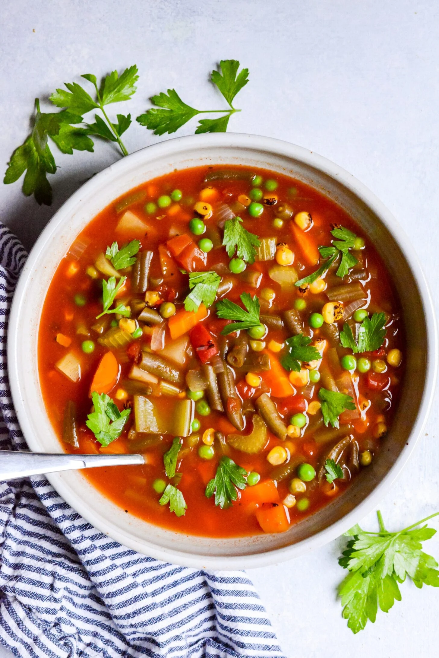 healthy vegetable soup in slow cooker