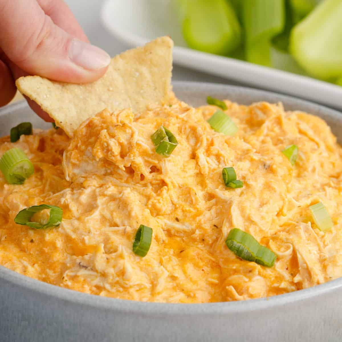 Buffalo Chicken Dip in a Crock Pot with shredded cheddar on top