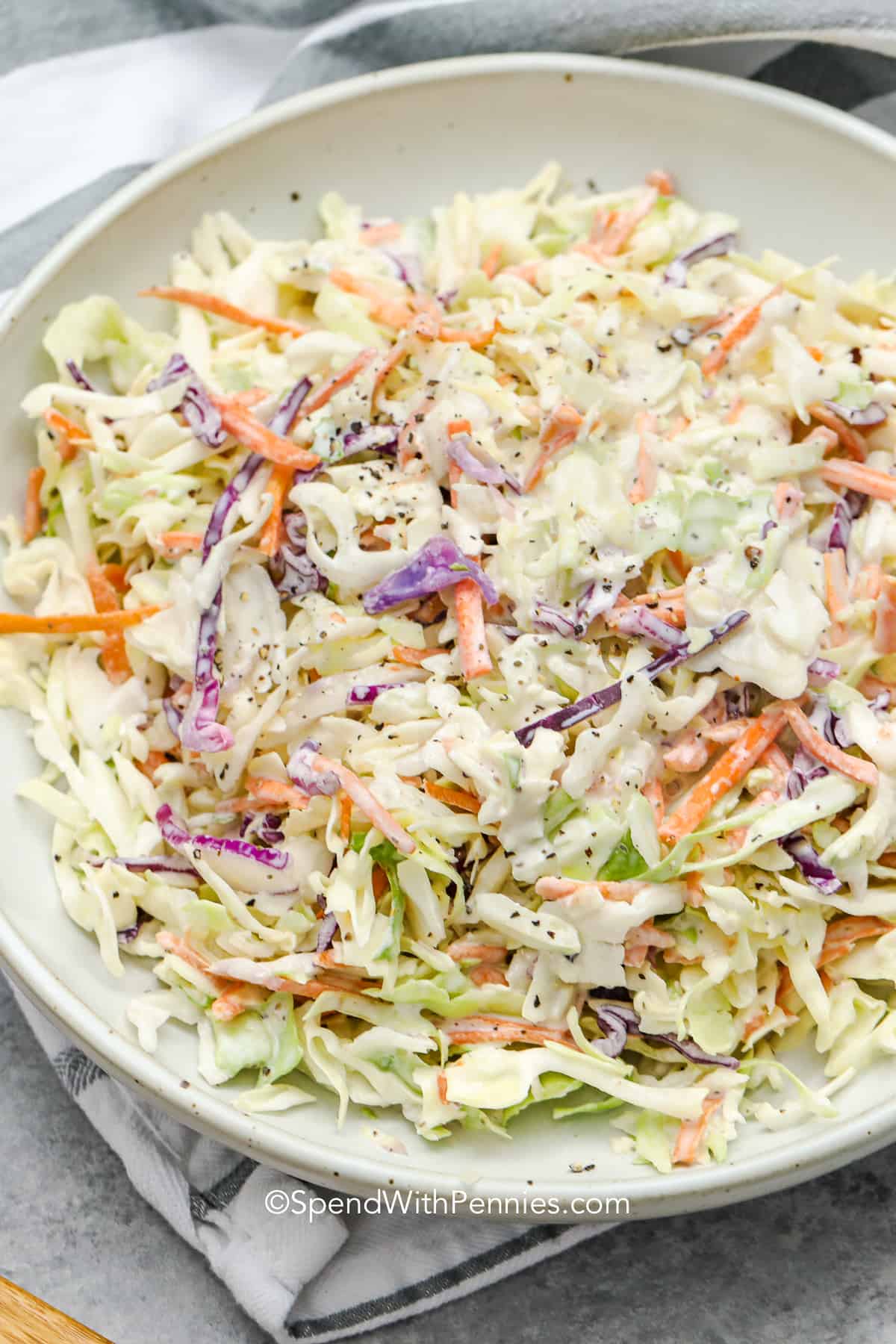 The best coleslaw recipe with shredded green cabbage, red cabbage, carrot and creamy dressing