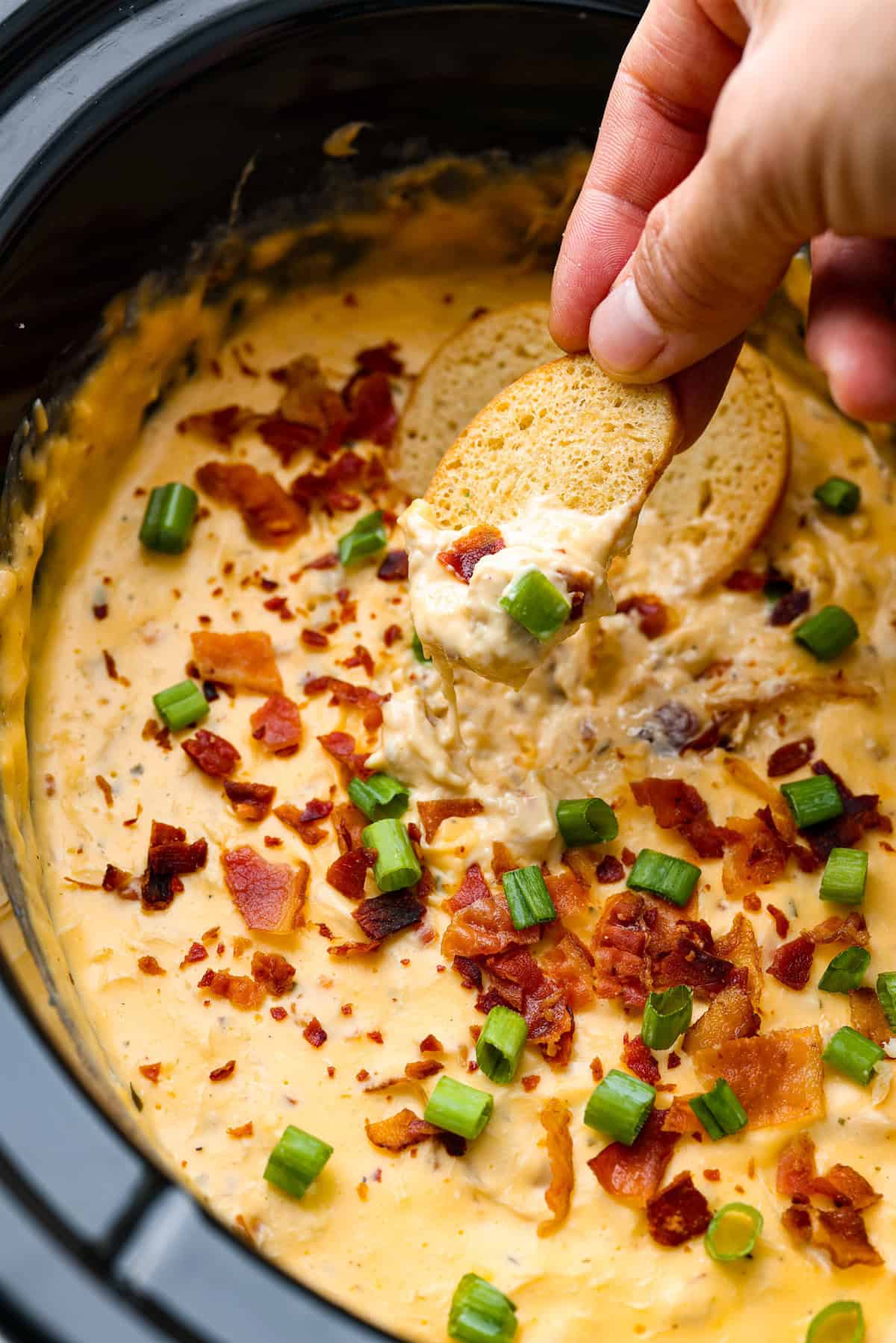 Slow Cooker Crack Chicken Dip with Velveeta and bacon